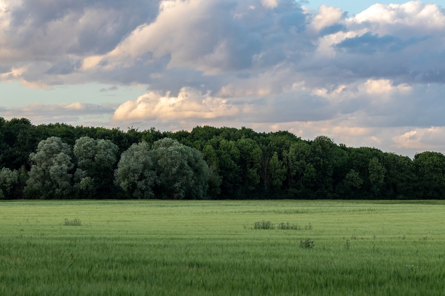 Hur Partyrun kombinerar natur, nöje och rörelse